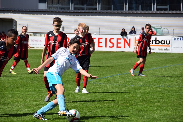 杂的动态 杂的动态