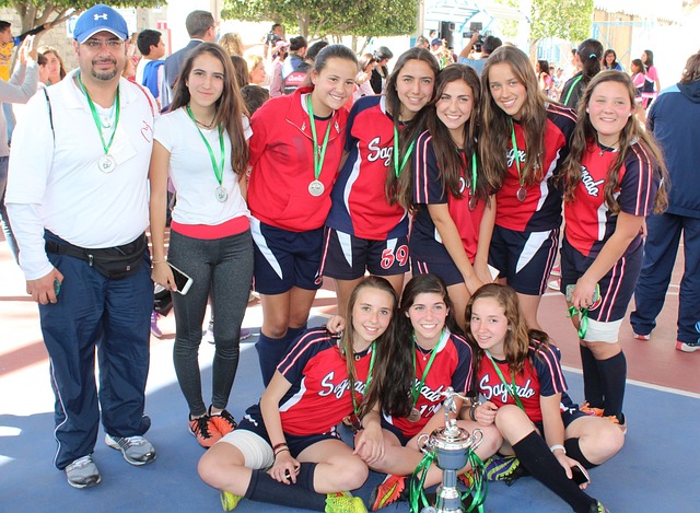 或情绪化反 或情绪化反