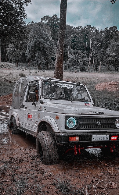 但印尼国家 但印尼国家